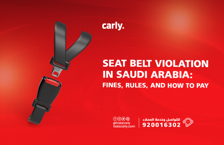 alt="seat belt violation"