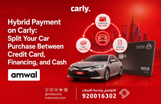 Hybrid Payment on Carly: Split Your Car Purchase Between Credit Card, Financing, and Cash